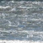 IMG_0807_2