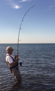 Amazing Randy: Sharpshooting a gangster bluefish in a placid sea.