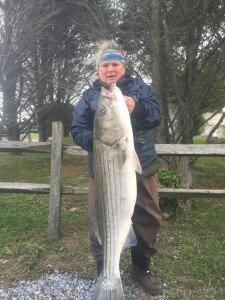 BOARD LEADER: Mary Ellen Kane nailed this 26-plus bass during a raging nor-easter.