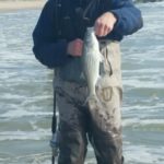 BillyTinyFishEastCut111119