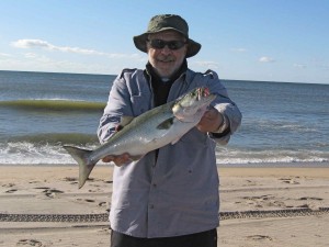 First cast, first fish of 2009. A cocktail bluefish from the Rosh Hoshana Blitz