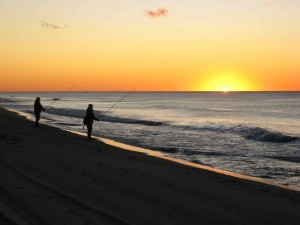 Sunrise on Napeague beach on Rosh Hoshana morning brought the first surfcasting blitz of 2009