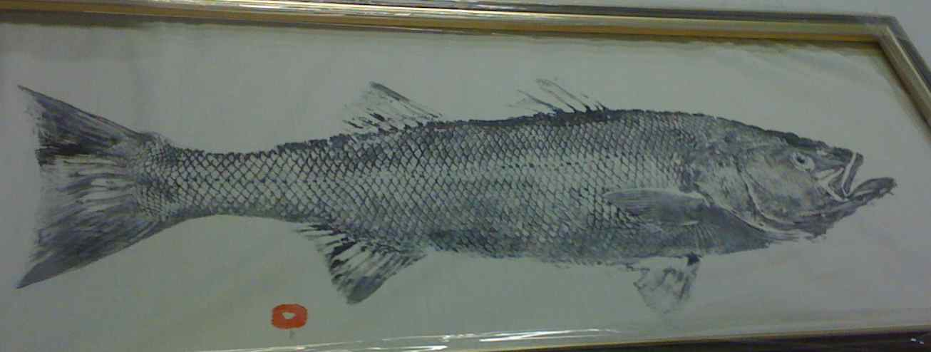 My Striper print was produced by Annie Sessler of East End Fish Prints in Montauk