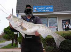 Camera-shy Richie Bag Foot took 20-plus and 30-plus pound stripers from the stormy ocean surf during the Veteran's Day nor'easter