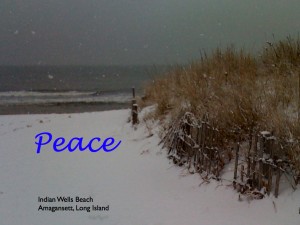 PeaceNewYear2010.001